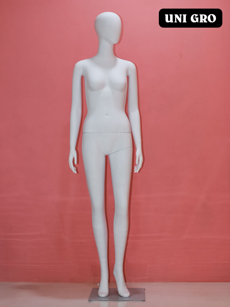 Minimalist Abstract Female Form
